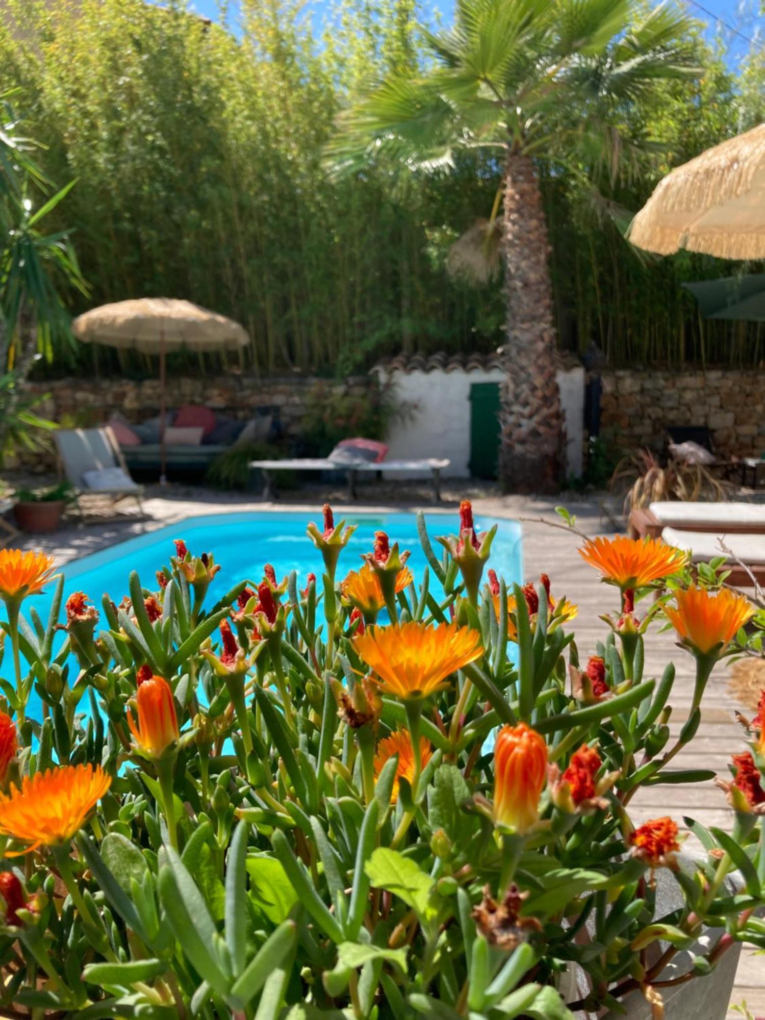 Maison D Hotes La Villa Madeleine Sanary-sur-Mer Buitenkant foto
